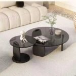 MODERN MINIMALIST BLACK CENTER TABLE WITH SCULPTURAL GLASS COFFEE TABLE