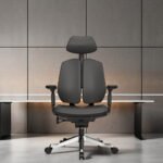 ERGONOMIC EXECUTIVE OFFICE CHAIR WITH DUAL-BACK SUPPORT